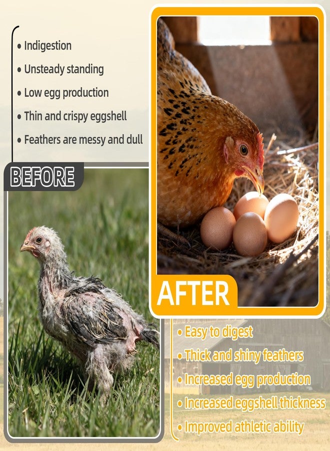 RAINFLOW Crushed Oyster Shell for Chickens - 15oz Calcium Supplement for Laying Hens, Supports Strong Eggshells,Natural Poultry Mineral for Backyard Chickens - Image 4